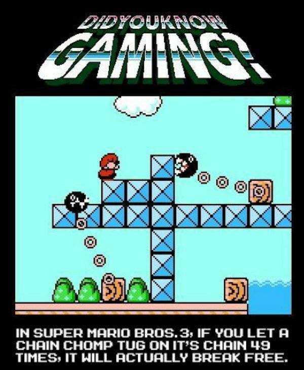 Pictures For Gamers (66 pics)