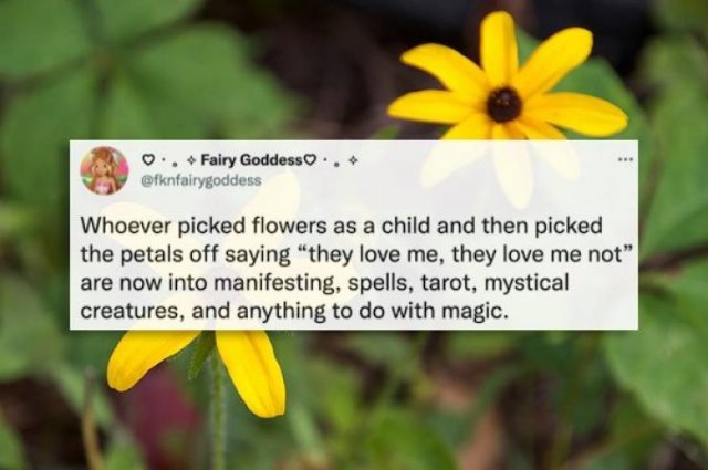 Funny Tweets (78 pics)
