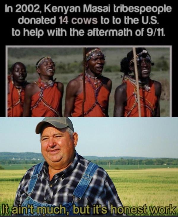Wholesome Stories (25 pics)