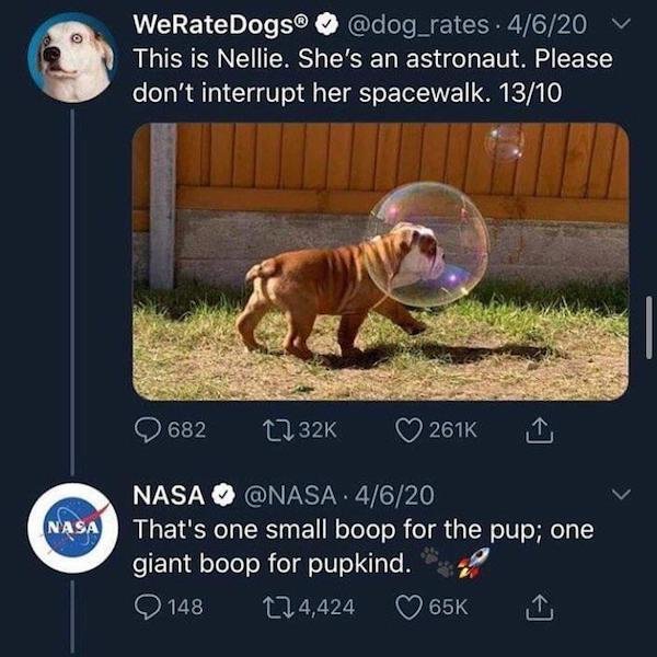 Wholesome Stories (25 pics)