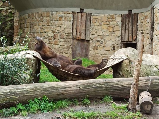 Acid Picdump 2 (51 pics)