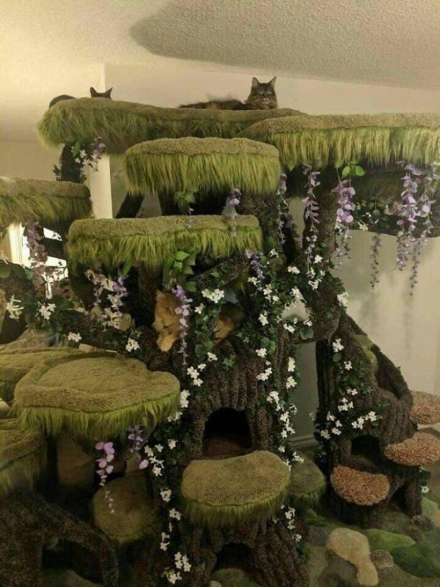 Great And Weird Designs (40 pics)