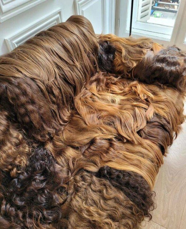 Great And Weird Designs (40 pics)