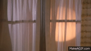 Things You Should Do Before Making Love (23 pics)