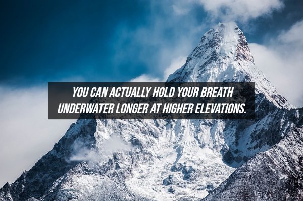 Fake Facts (20 pics)
