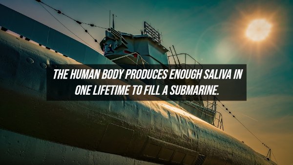Fake Facts (20 pics)