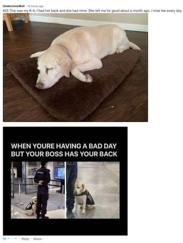 Funny Comments (67 pics)