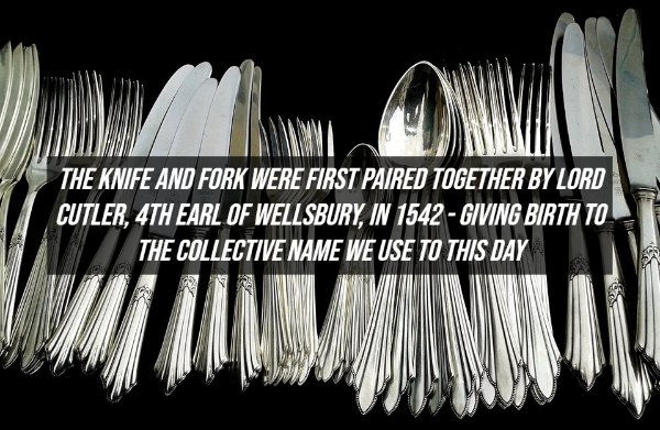 Fake Facts (20 pics)