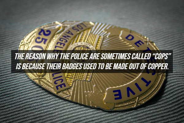 Fake Facts (20 pics)