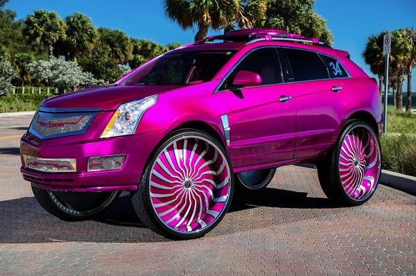OMG Pictures (33 pics)