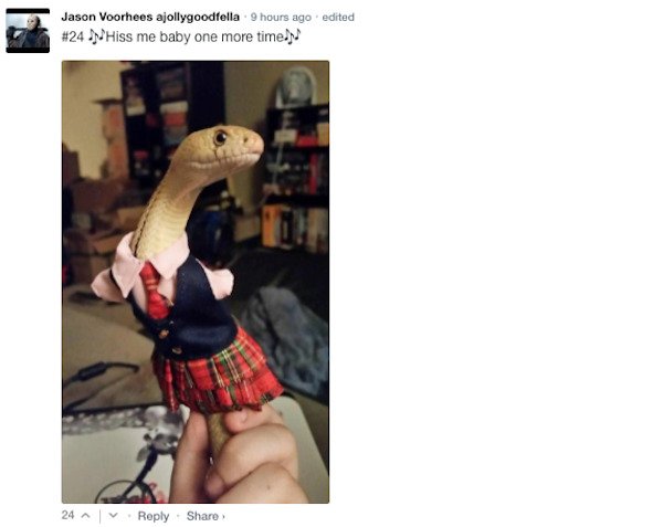 Funny Comments (67 pics)