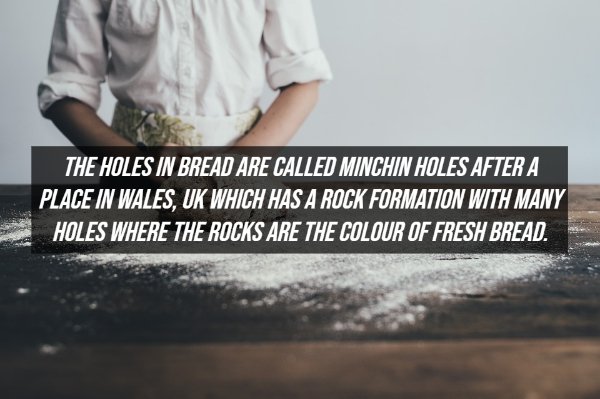 Fake Facts (20 pics)