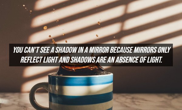 Fake Facts (20 pics)