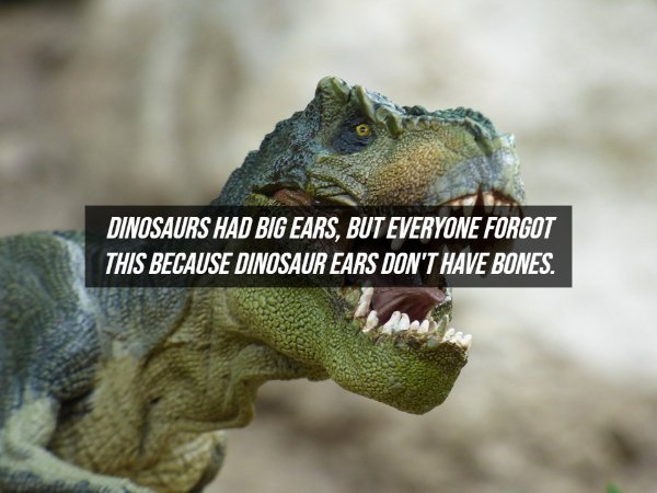 Fake Facts (20 pics)