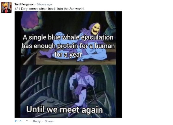 Funny Comments (67 pics)