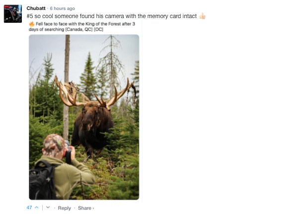 Funny Comments (67 pics)