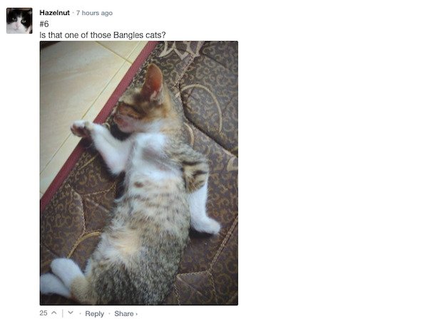 Funny Comments (67 pics)