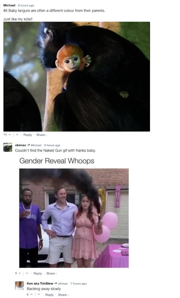 Funny Comments (67 pics)