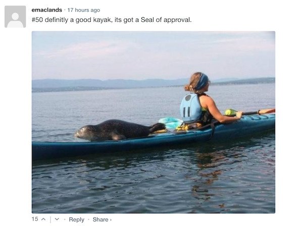 Funny Comments (67 pics)