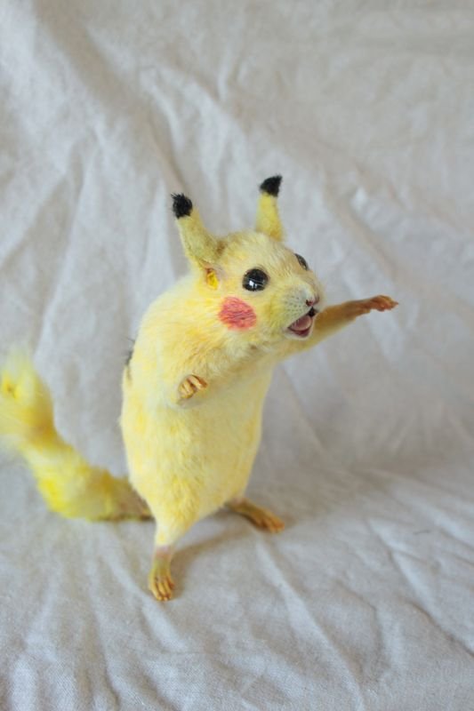 OMG Pictures (33 pics)