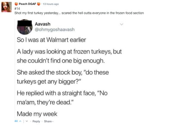 Funny Comments (67 pics)