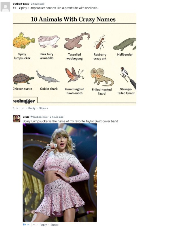 Funny Comments (67 pics)