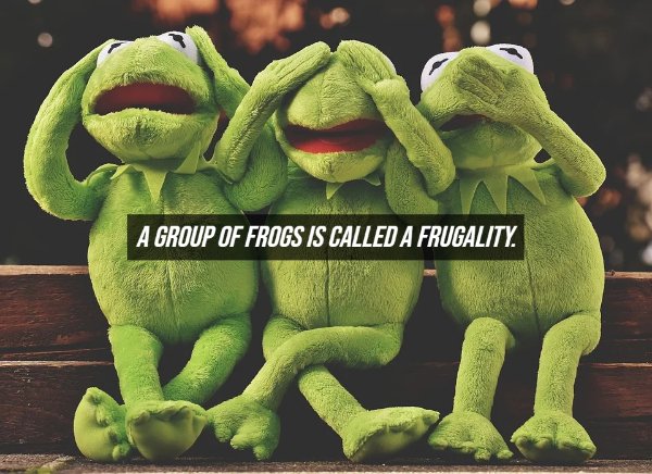 Fake Facts (20 pics)