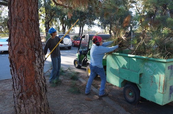 The Deadliest Jobs In America (20 pics)