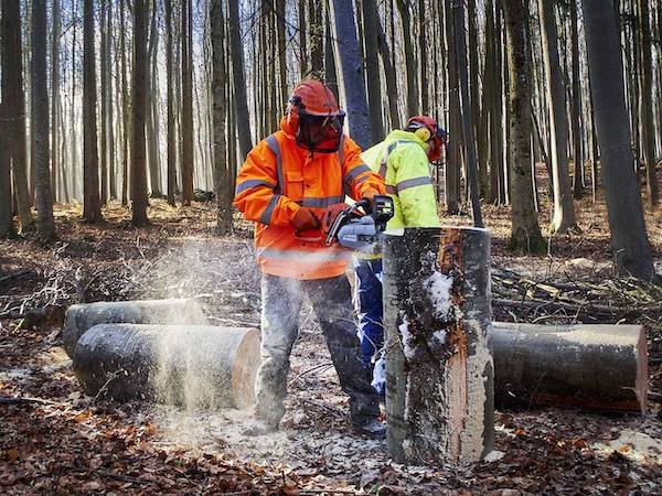 The Deadliest Jobs In America (20 pics)