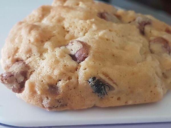 Cooking Fails (35 pics)