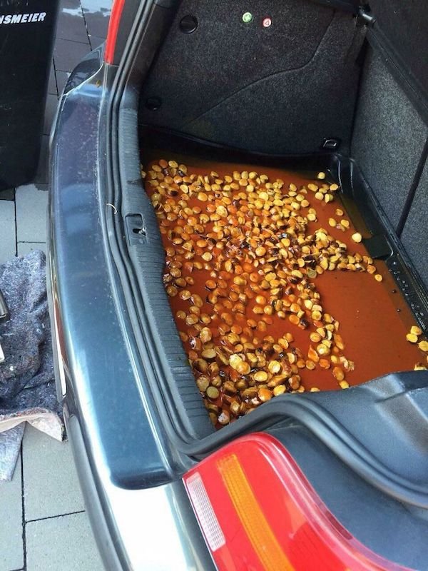 Cooking Fails (35 pics)