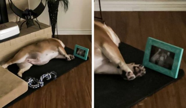 Family Humor (20 pics)