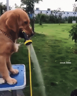 Acid Gifdump, September 21 (25 gifs)
