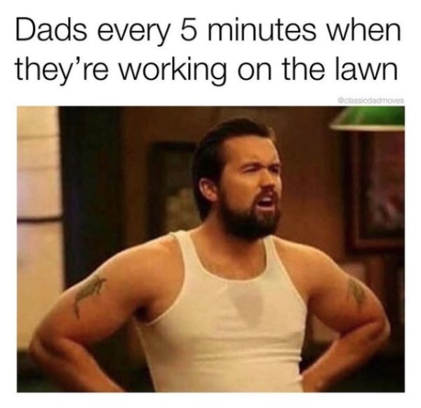 Dad Memes (30 pics)