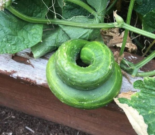 Accidental Coincidences (48 pics)