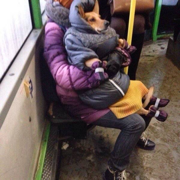Only In Russia (48 pics)