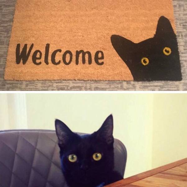 Accidental Coincidences (48 pics)