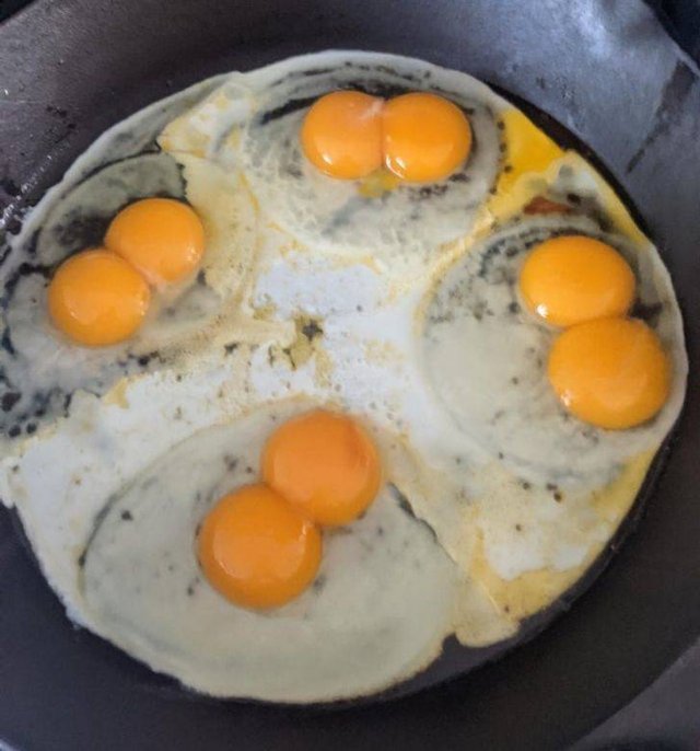 Accidental Coincidences (48 pics)