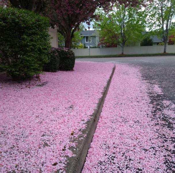 Accidental Coincidences (48 pics)