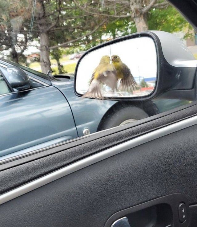 Accidental Coincidences (48 pics)