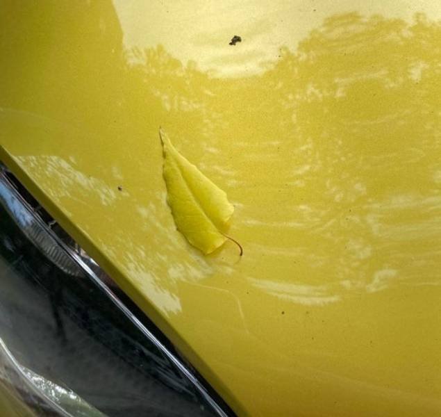 Accidental Coincidences (48 pics)