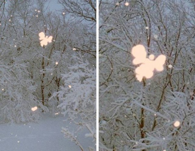 Accidental Coincidences (48 pics)