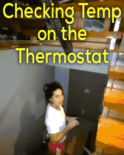 Wow GIFs (32 gifs)