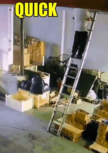 Wow GIFs (32 gifs)