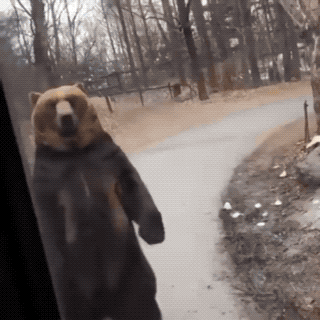 Wow GIFs (32 gifs)