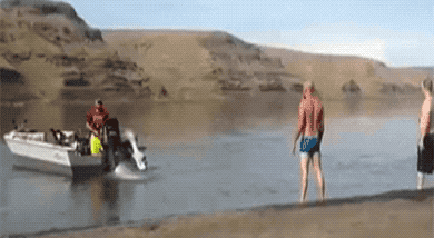 Wow GIFs (32 gifs)