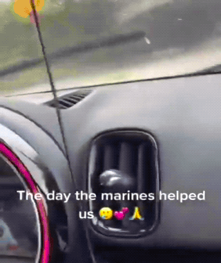 Wow GIFs (32 gifs)