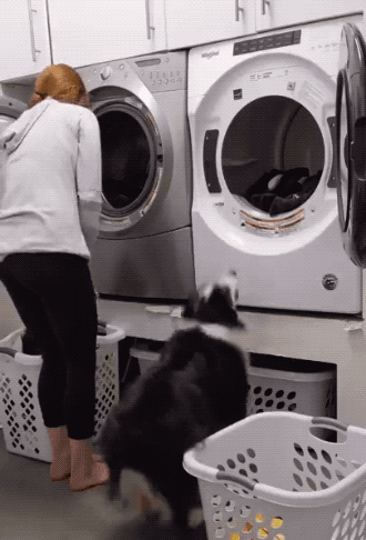 Wow GIFs (32 gifs)