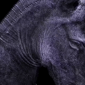 Wow GIFs (32 gifs)