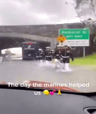 Wow GIFs (32 gifs)